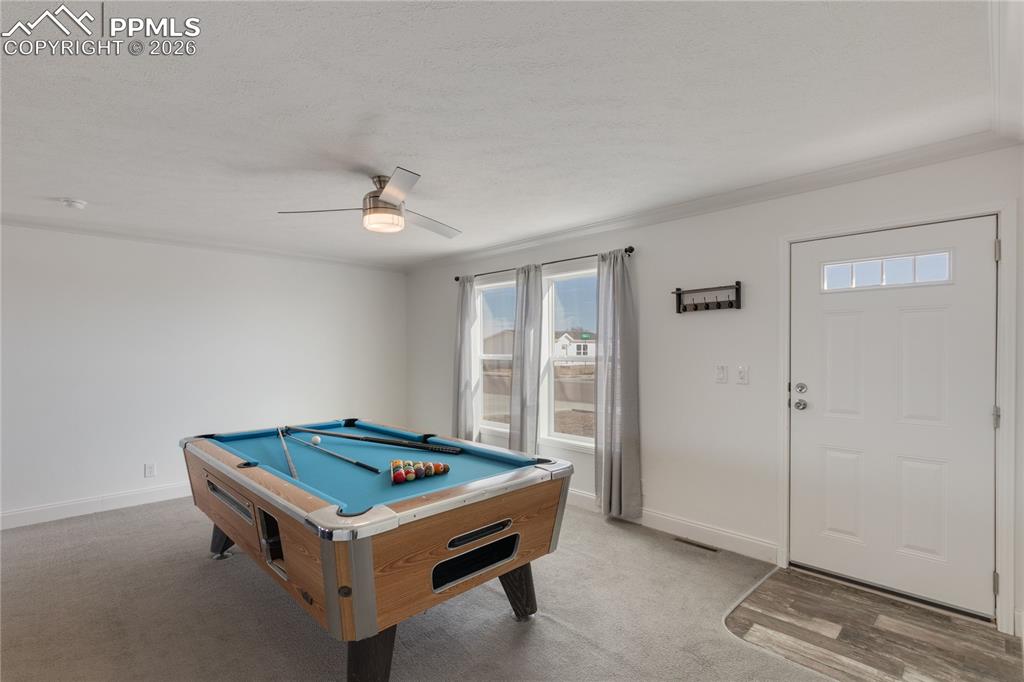 Front entry into Living Room.