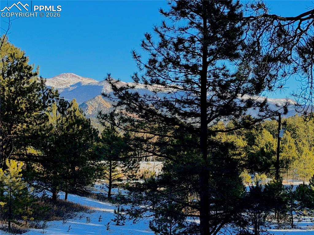 919 Matterhorn Drive photo 2