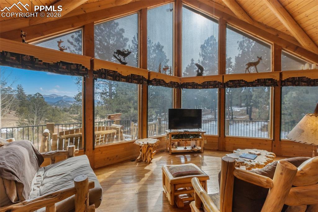 919 Matterhorn Drive photo 3