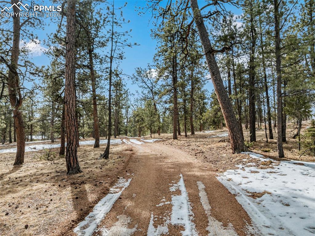 Driveway, leads to private setting