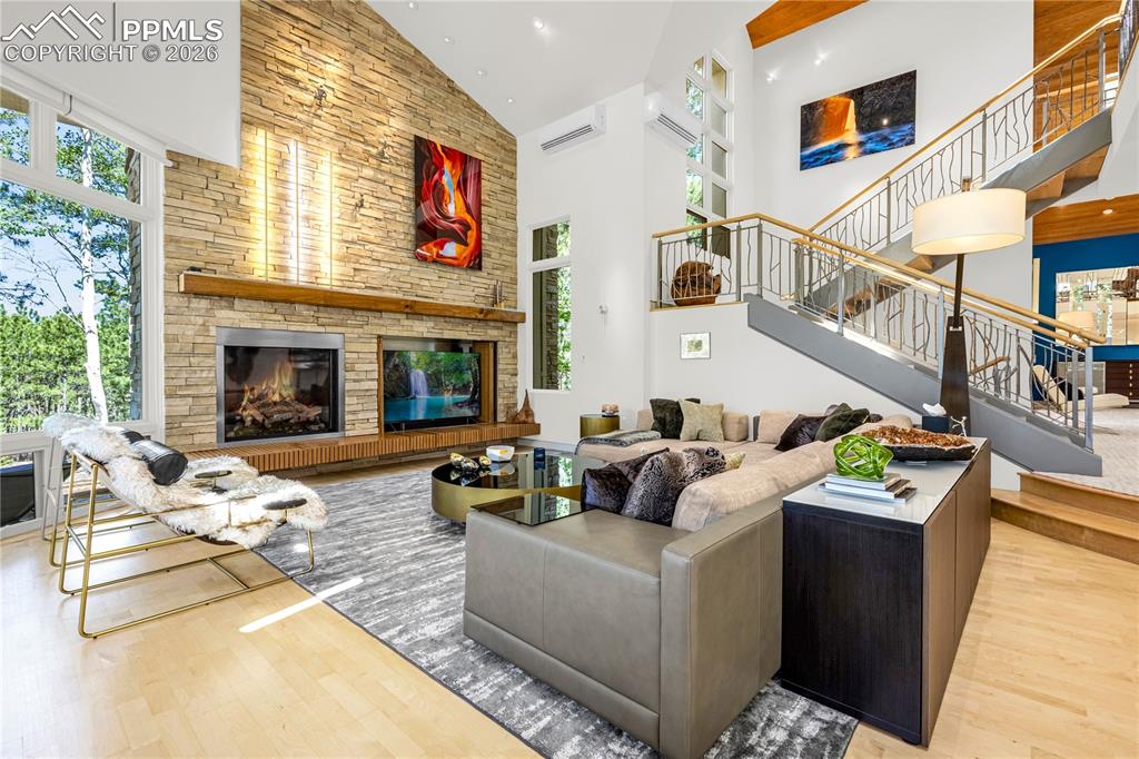 Living room & abundant natural light