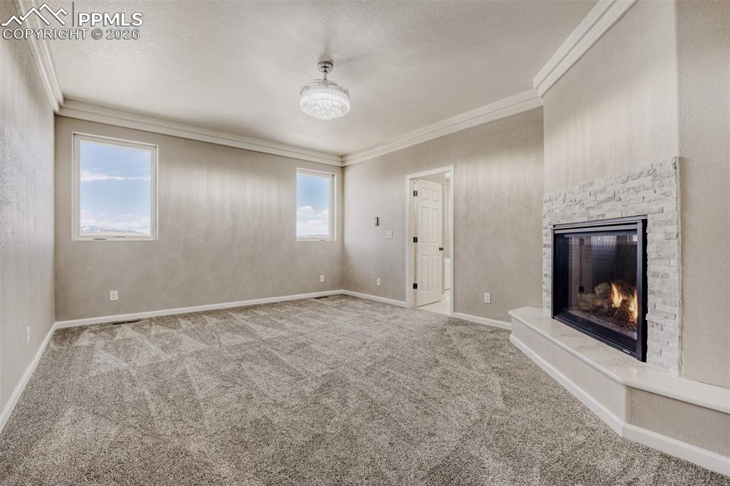 Primary Bedroom with fireplace, massive closet, lux 5-piece bath