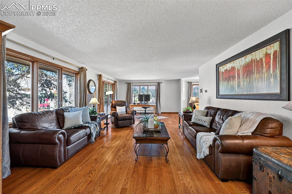 Spacious loving room with many windows!