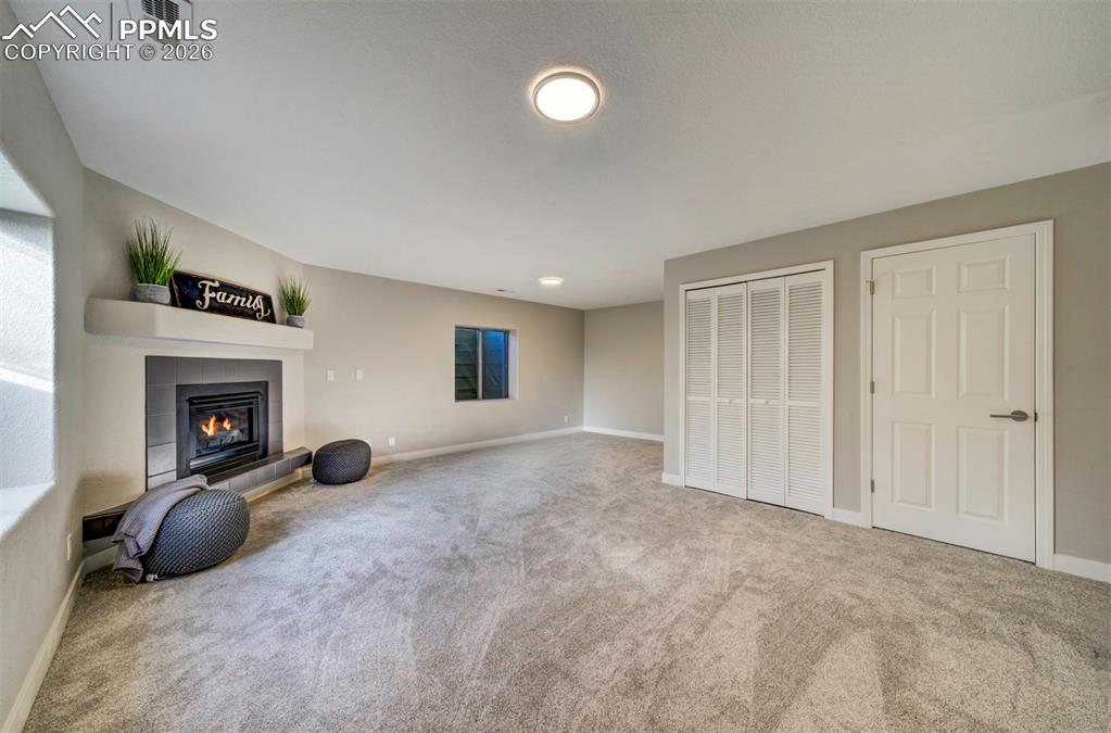 HVAC and under the stairs storage doors