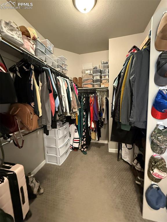 6942 Green Stalk Circle