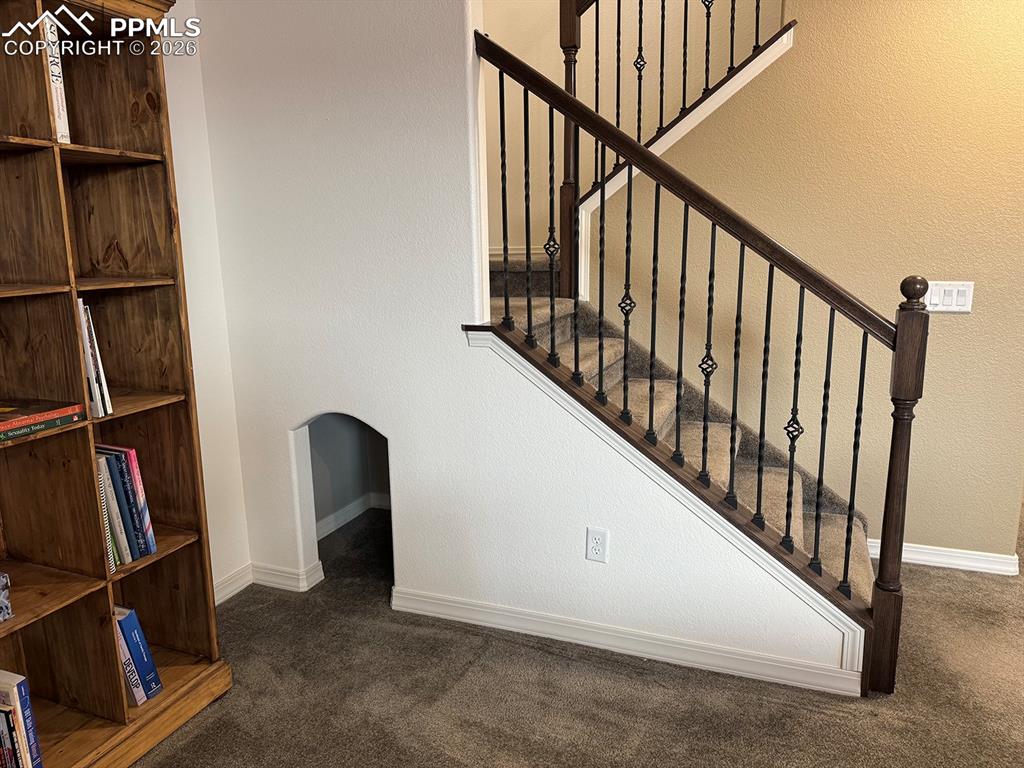 Puppy under stairs area