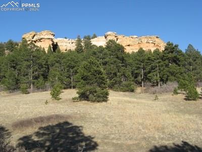 772 Douglas Avenue photo 2