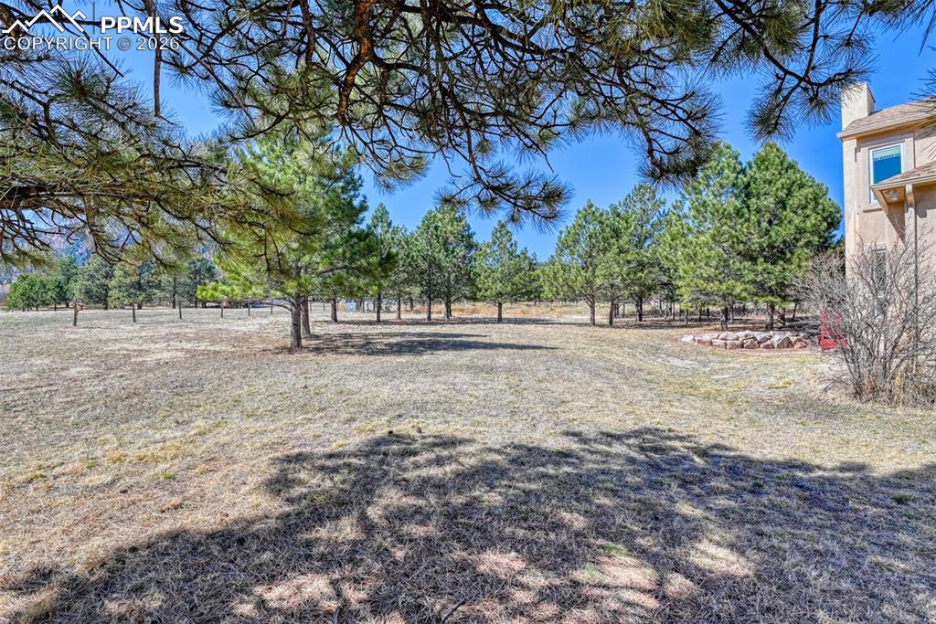 Can you see the mountain peaking thru the trees? 