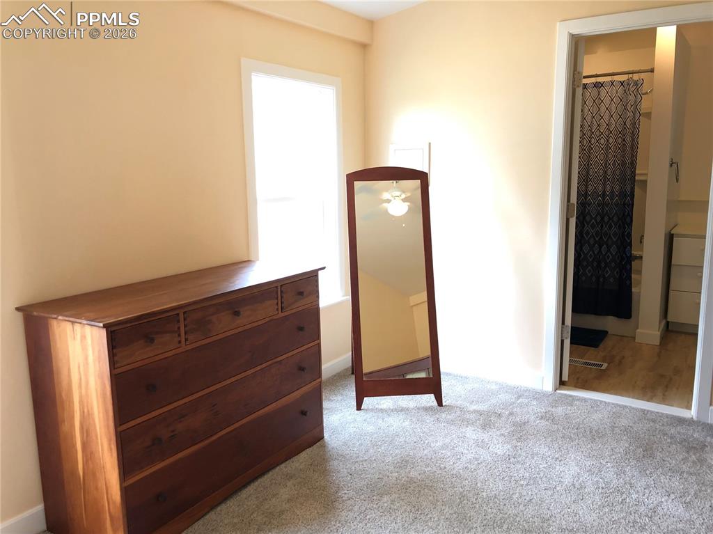 Master Suite with Bath, Walk-in Closet, Washer & Dryer