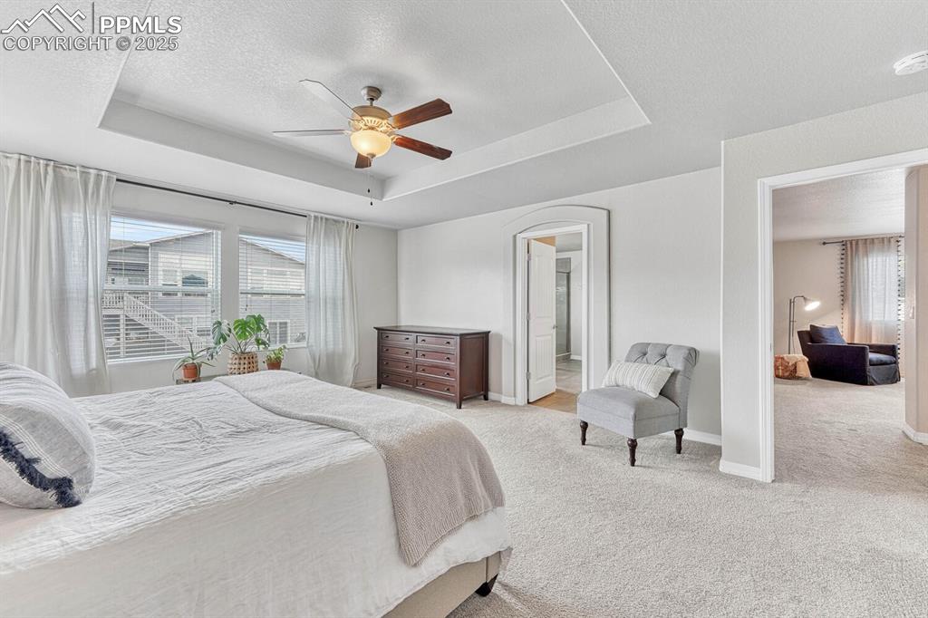Bedroom with multiple windows, a raised ceiling, and light carpet