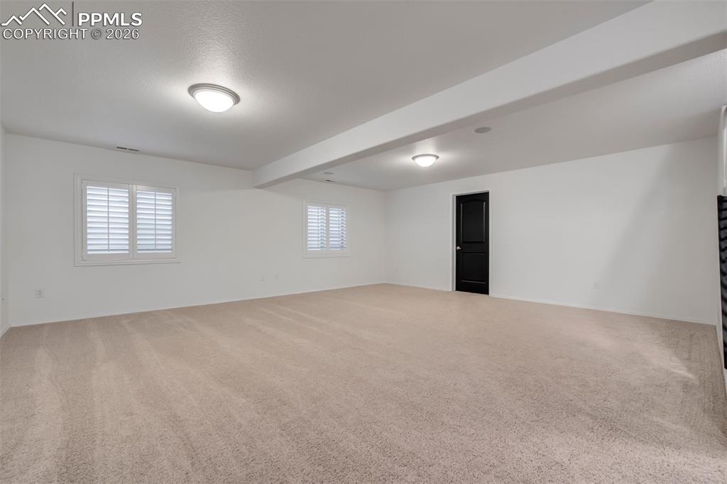 Large rec room in the basement with door to storage area