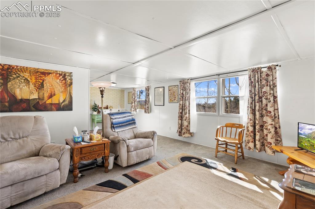 Living area featuring carpet flooring