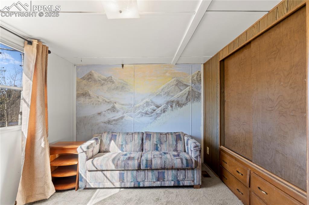 Sitting room featuring carpet floors
