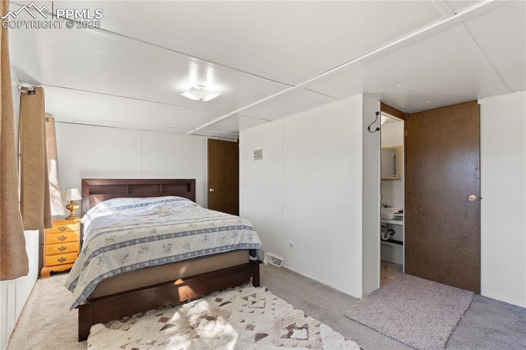 Bedroom with carpet and ensuite bathroom