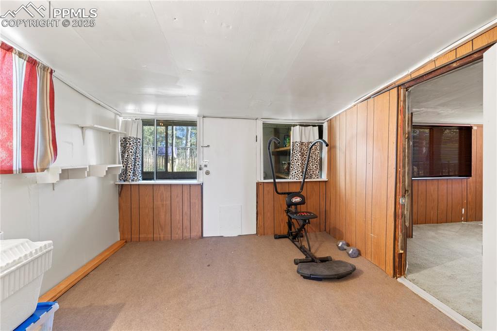 Kitchen with wood walls and light colored carpet