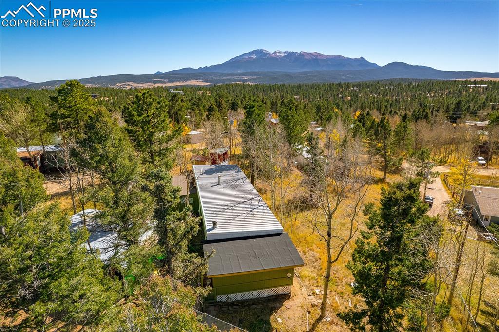 Bird's eye view of a forest and a mountainous background
