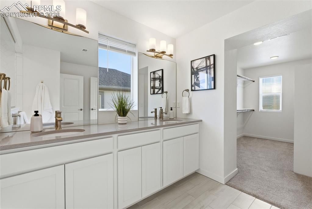 Primary Bathroom (cont)