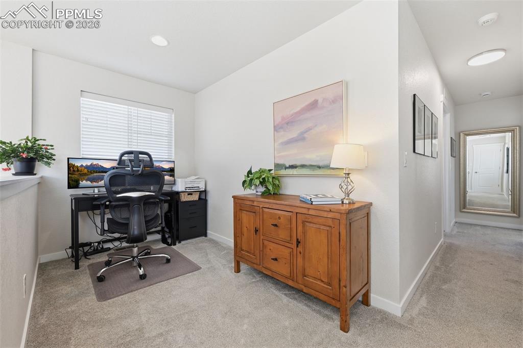 Loft space with window and carpet