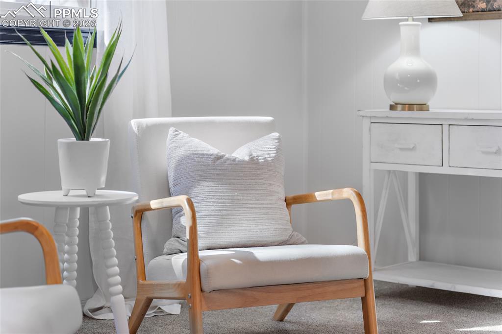 Living area with carpet flooring and natural light