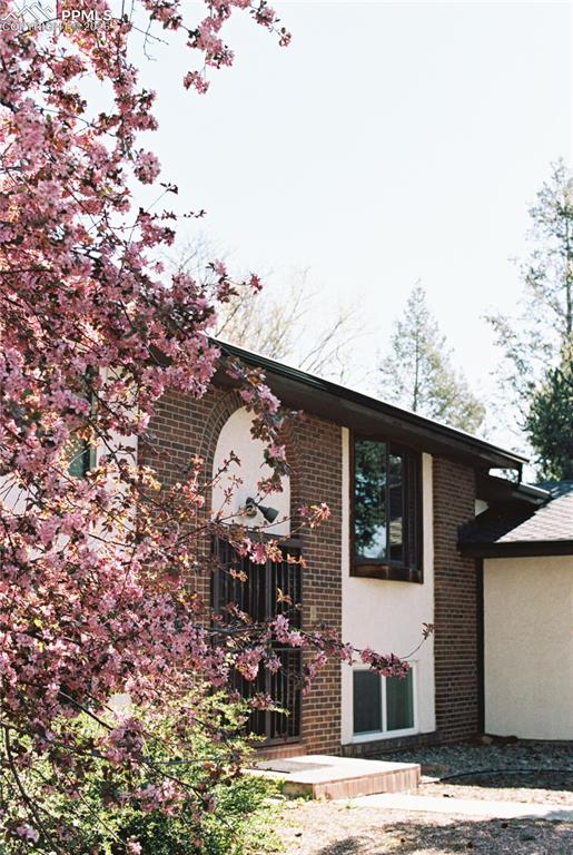 Film photos of the Spring Entrance to property with brick siding and stucco siding
