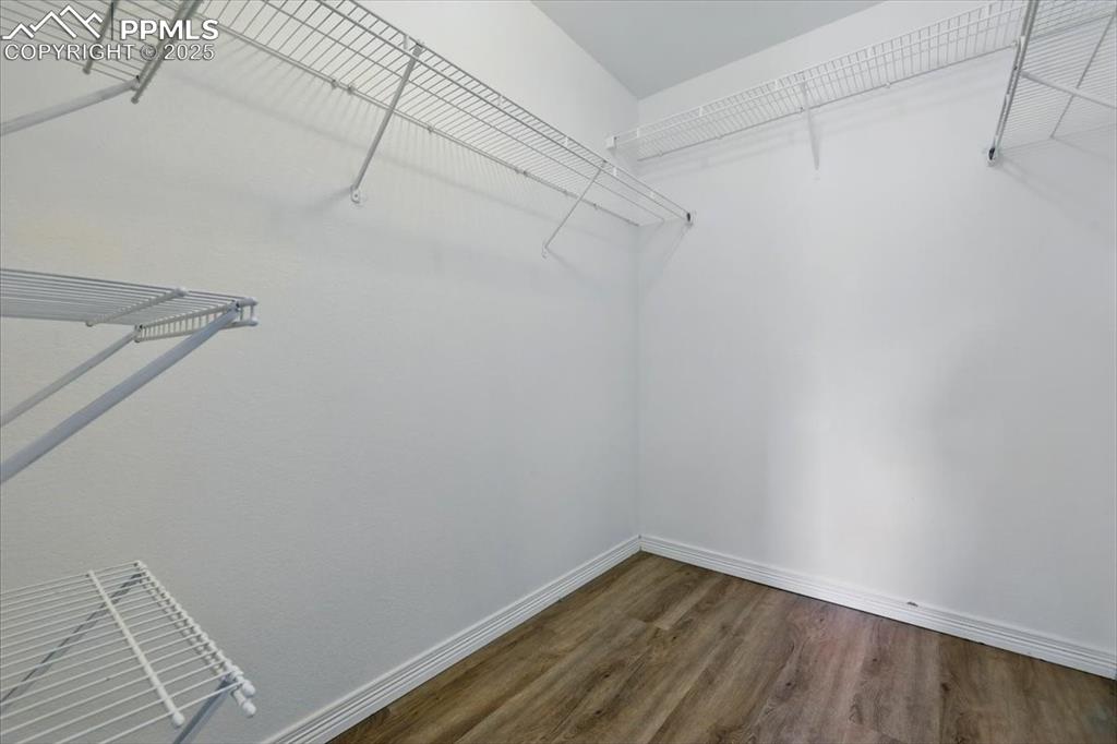 Spacious closet featuring wood finished floors