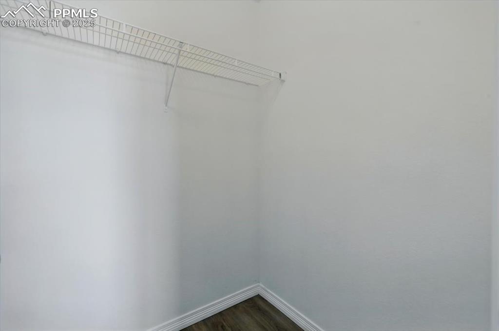 Spacious closet with dark wood-type flooring