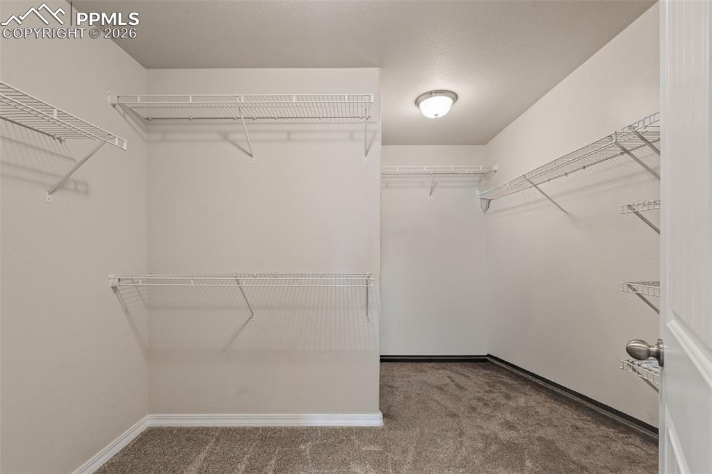 Walk in closet with light colored carpet
