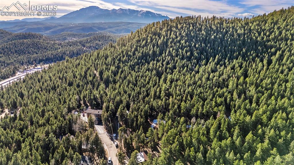 View of home at the end of the cul-de-sac and the heavily treed lot!