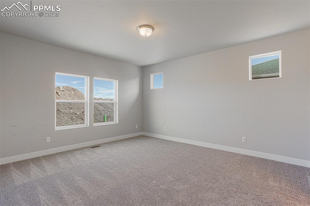 Unfurnished room with plenty of natural light and light colored carpet