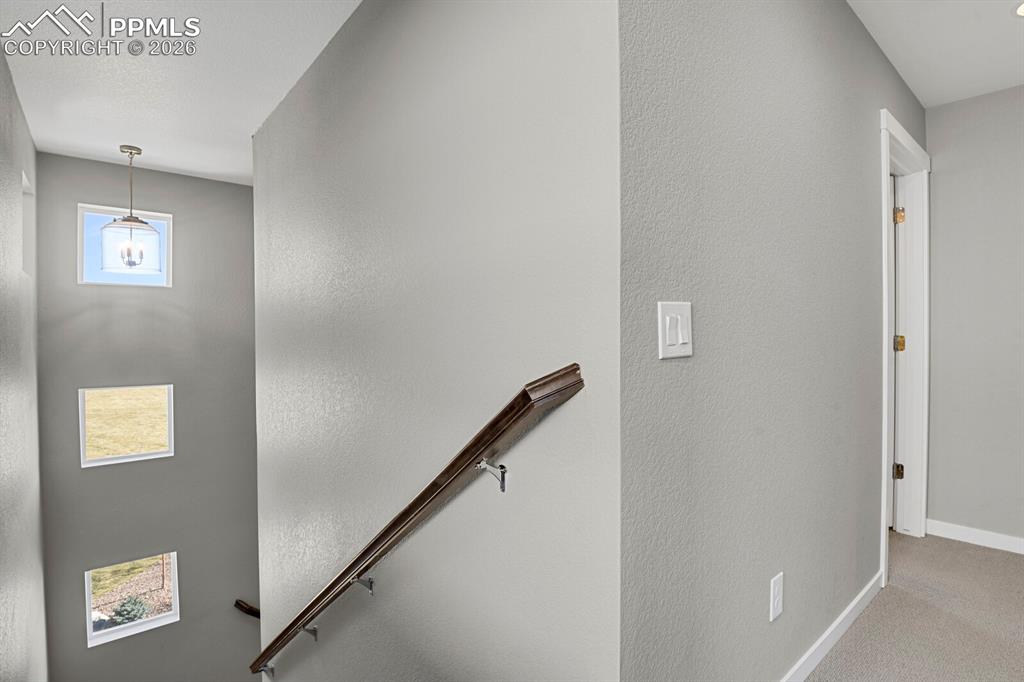 Stairway with a textured wall and carpet
