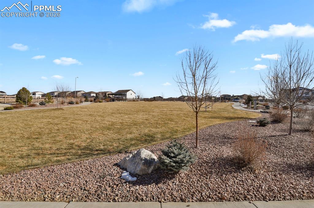 Front common area grass 