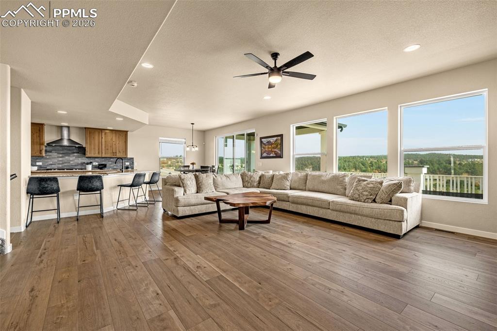 W/Black Forest Views