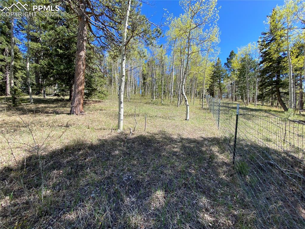 While also being fully fenced so all your animals can roam freely