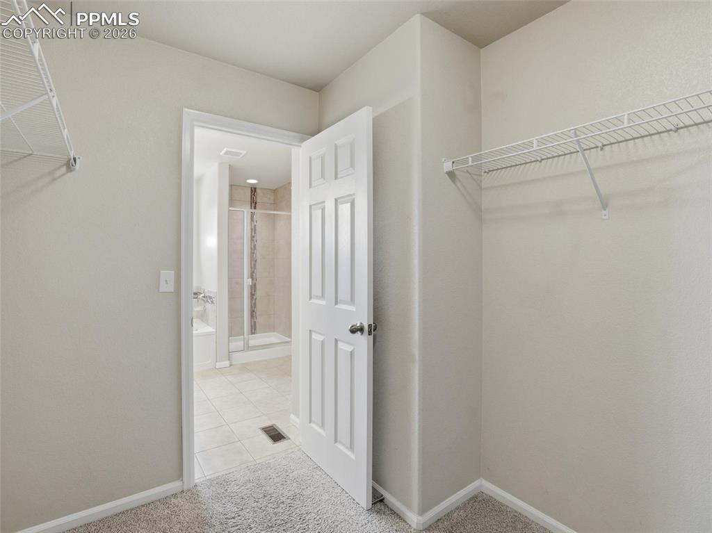 Spacious closet featuring light colored carpet