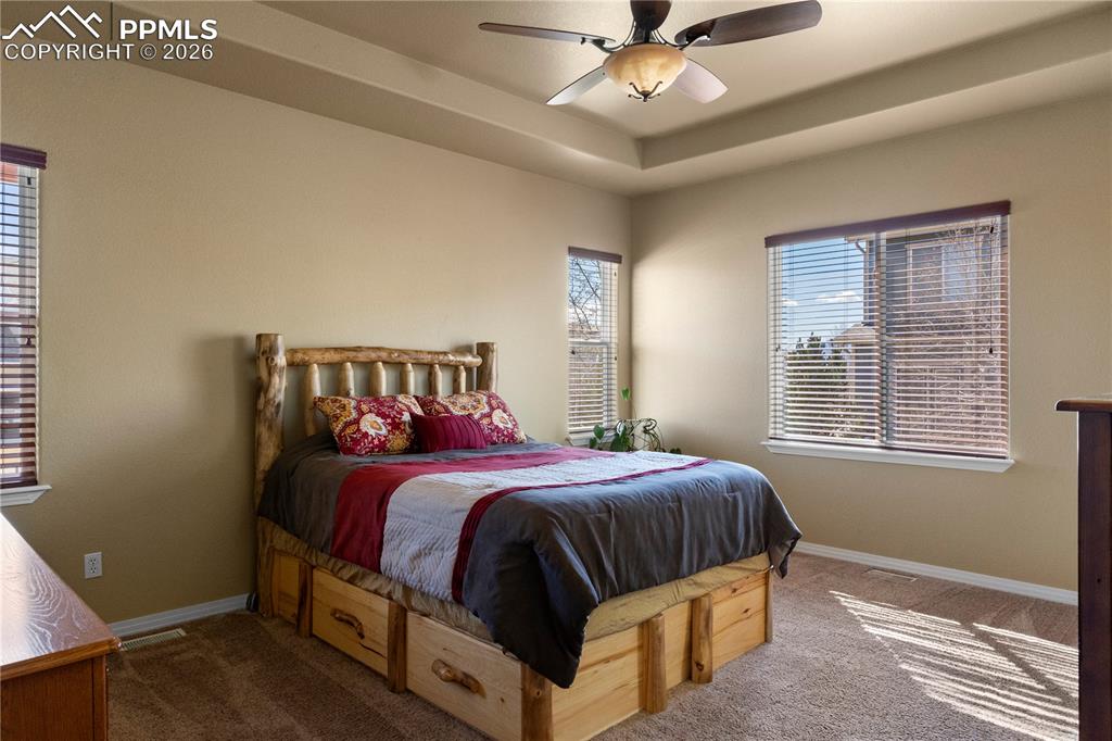 Main level primary suite with attached 5 piece bath and walk in closet. Trey ceilings and lots of natural light. 