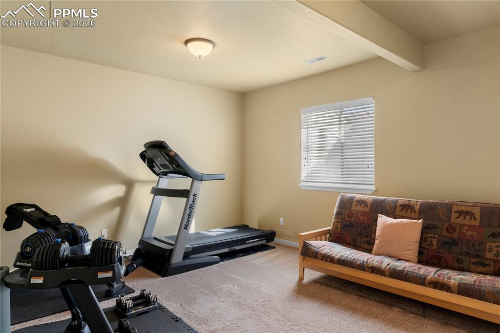 Basement bedroom currently used at exercise room. Also boasts walk in closet. 