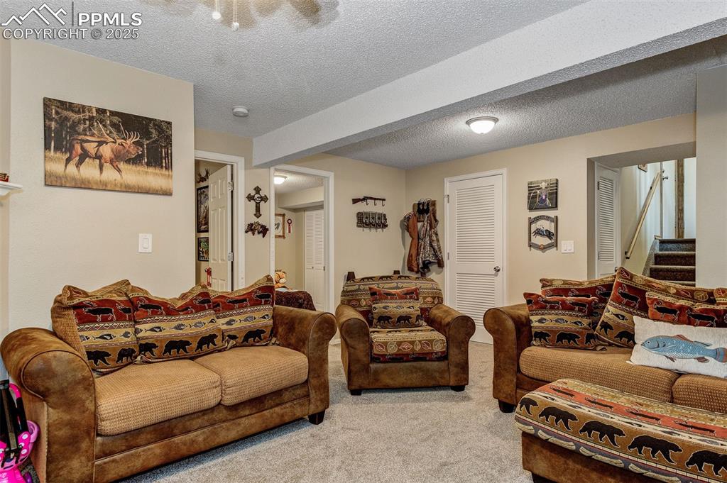 Lower level family room featuring carpet