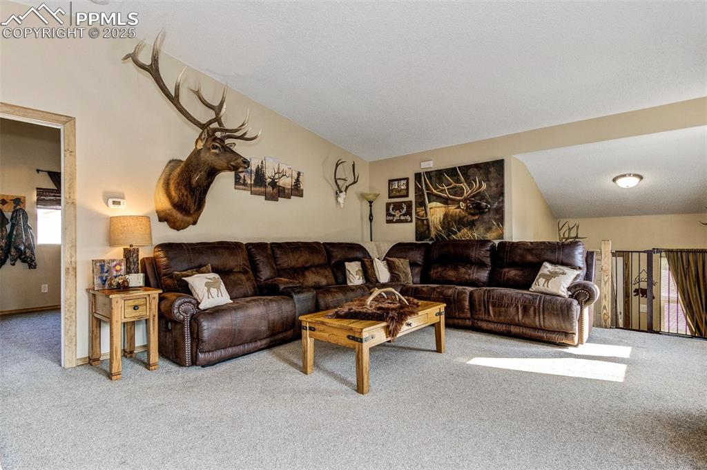 Living room with carpet floors and vaulted ceiling