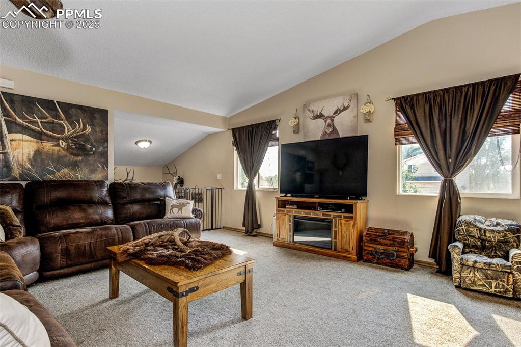 Living room featuring lofted ceiling and light carpet