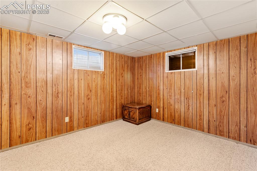Basement bedroom 