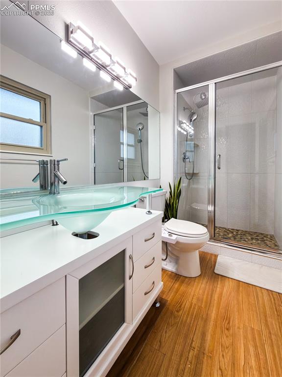 Full bathroom featuring vanity, a shower stall, and dark wood-style floors