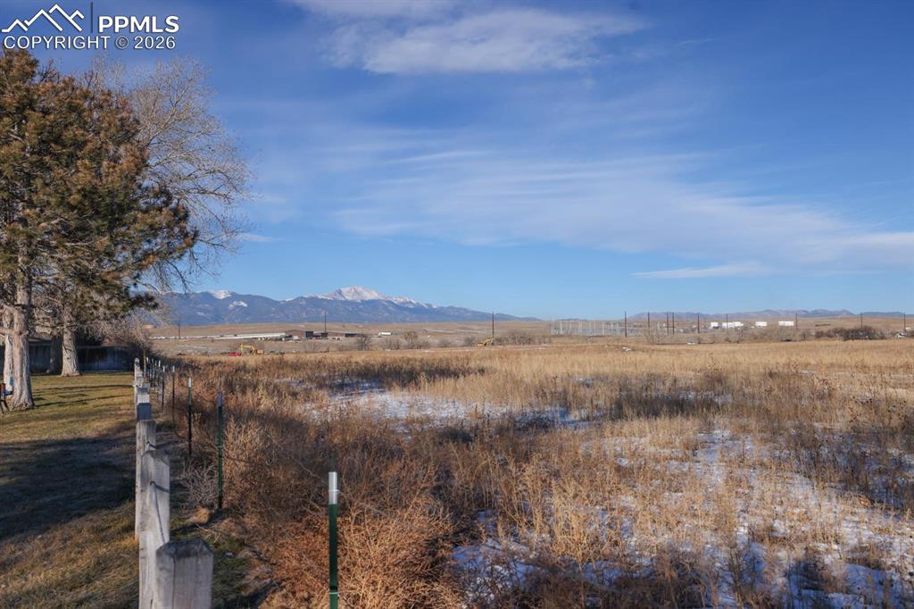 view from nearby park