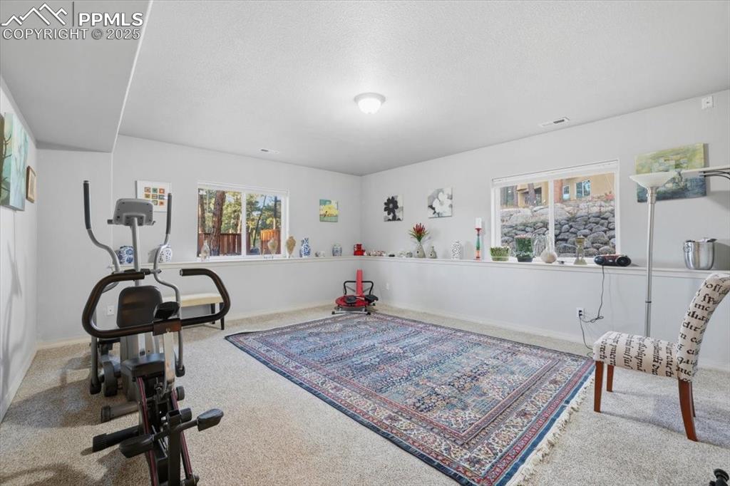 Basement exercise room/bedroom