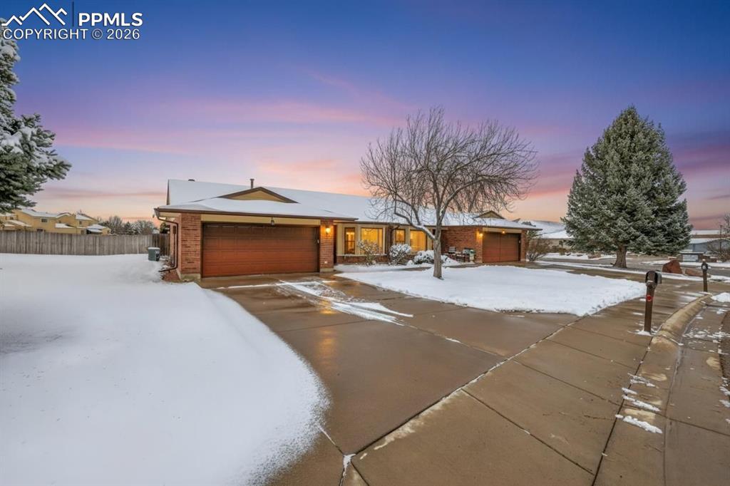 31 Frances Place photo 2