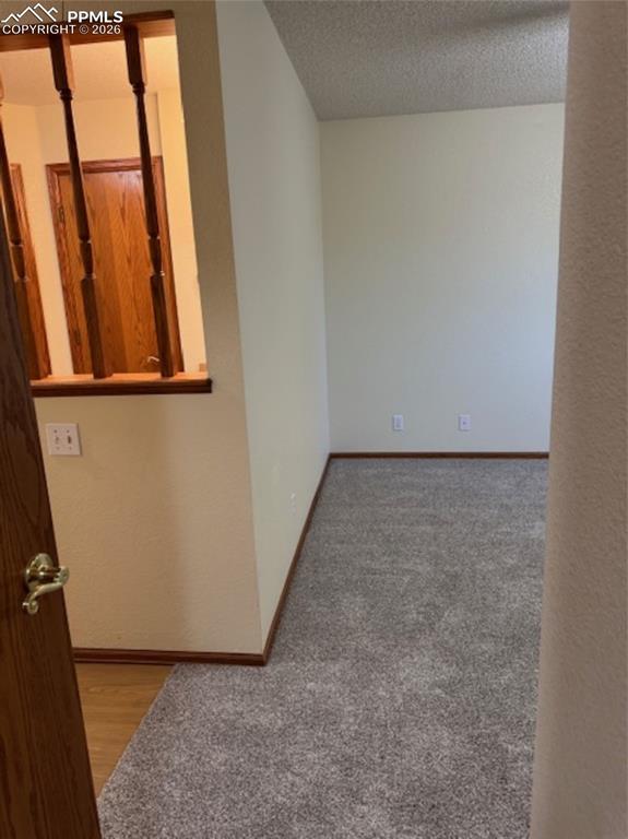 Primary Bedroom New Carpet