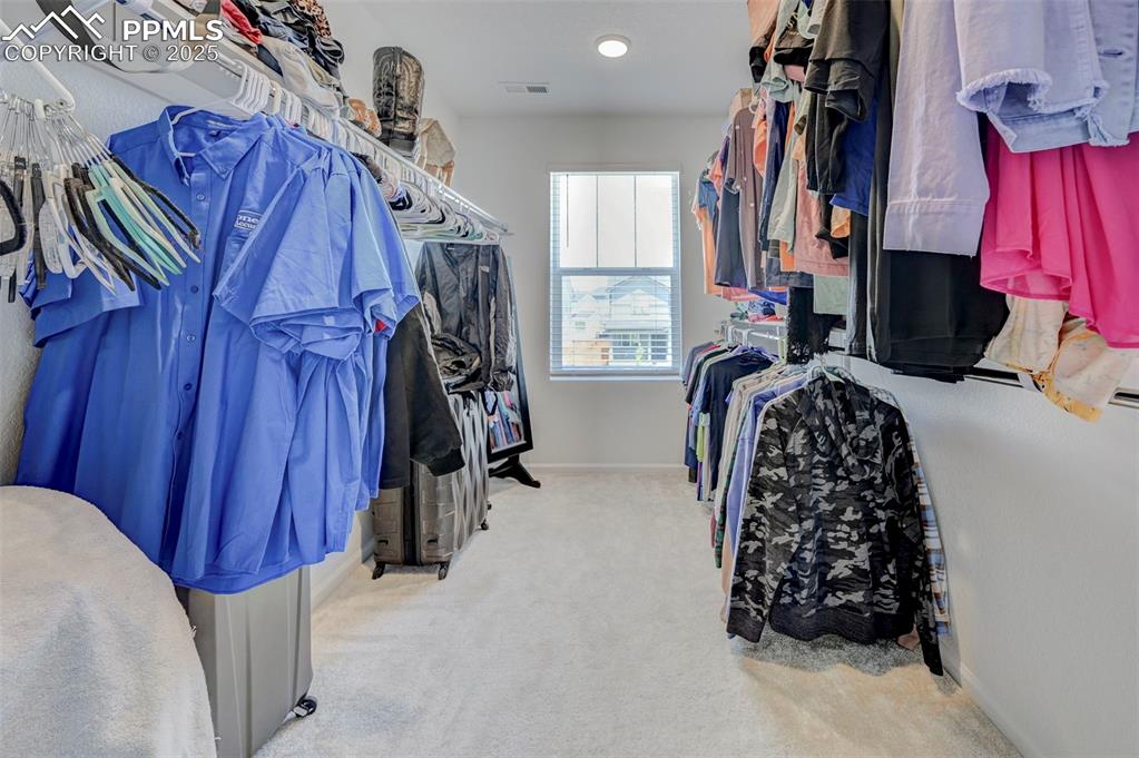 Walk in closet featuring carpet floors