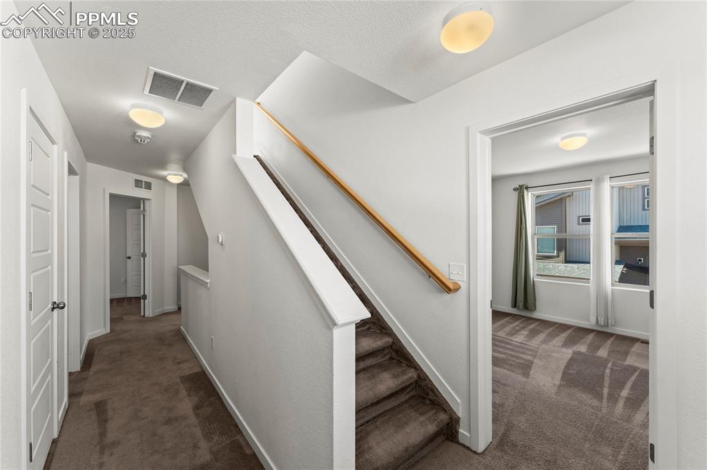 Staircase with carpet and baseboards