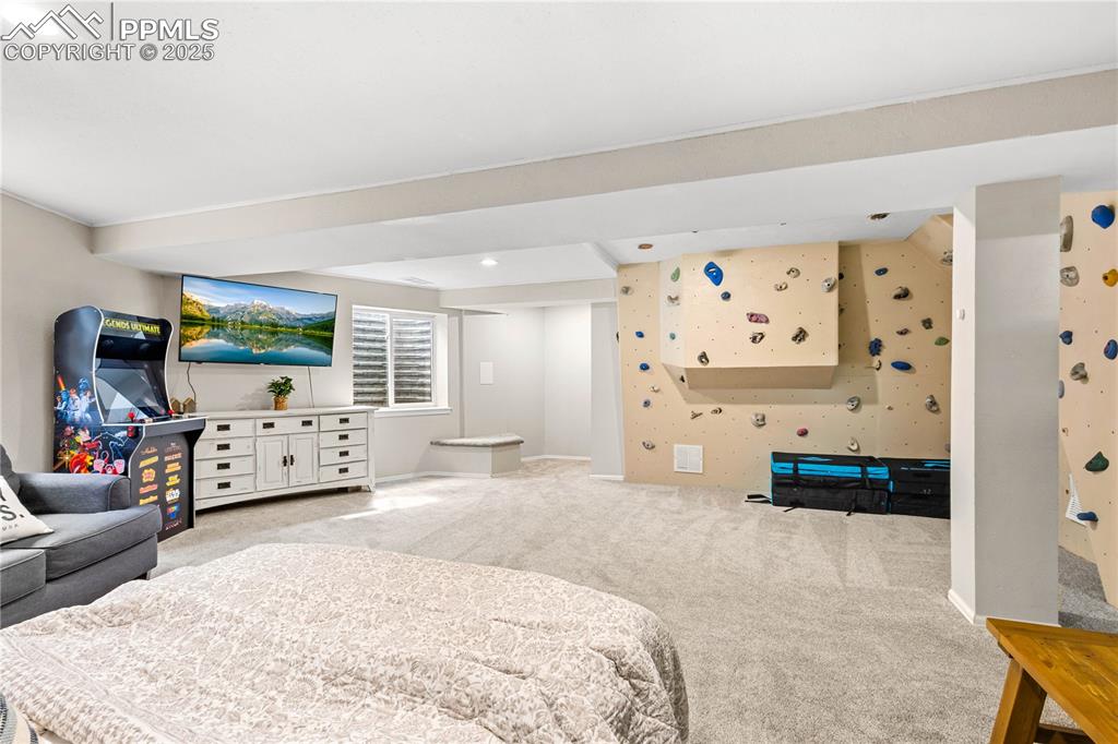 Family Room featuring carpet, climging wall, and lots of space for fun.