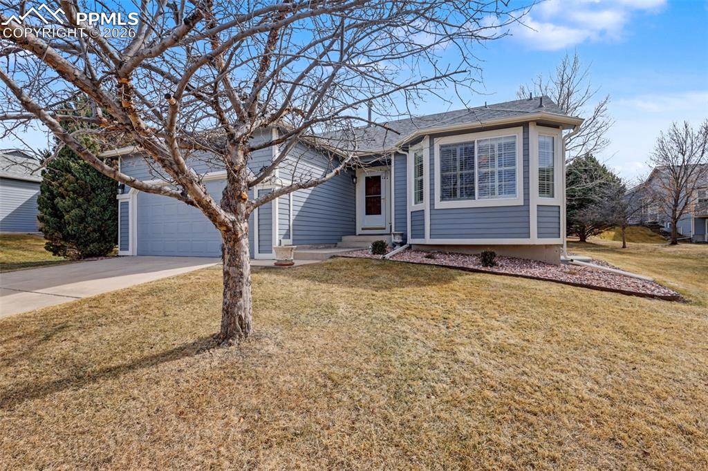 4195 Greens Drive photo 2