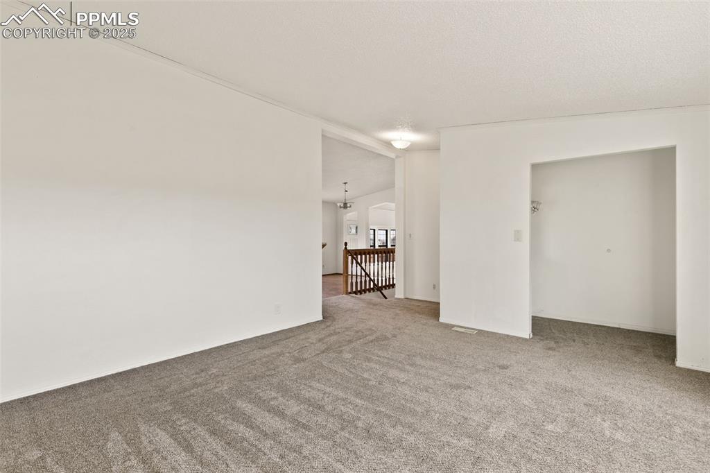 Living room with new carpet